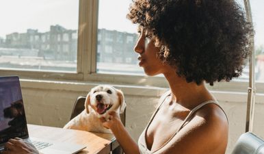 Study finds owners can pass on Covid-19 to cats and dogs