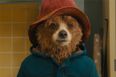 He’s back! Paddington 3 will officially start filming next year, studio confirms