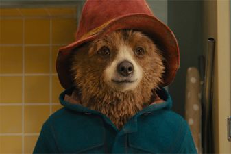 He’s back! Paddington 3 will officially start filming next year, studio confirms