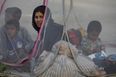 Afghan mothers try to “save their babies” from Taliban at Kabul airport