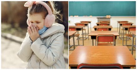 Children with stuffy noses should ‘stay home from school’ according to INTO