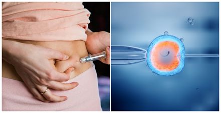 Fertility treatment: New discovery pinpoints ‘golden window’ for IVF success
