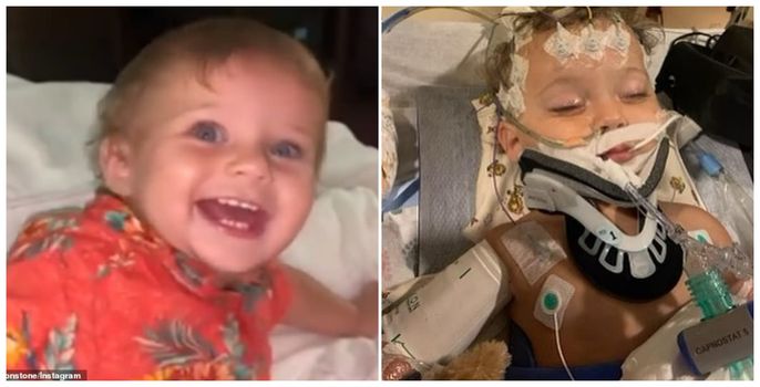 Sharon Stone's nephew has died from organ failure