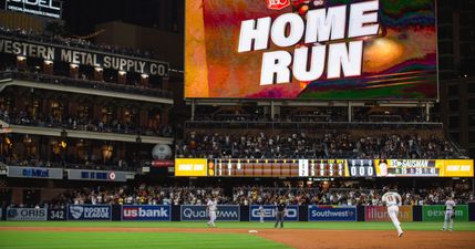 Mum and toddler die in “suspicious” fall from baseball stadium height