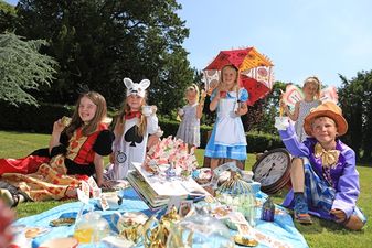 Alice in Wonderland Christmas Lights Spectacular at Loughcrew’s Enchanted Garden