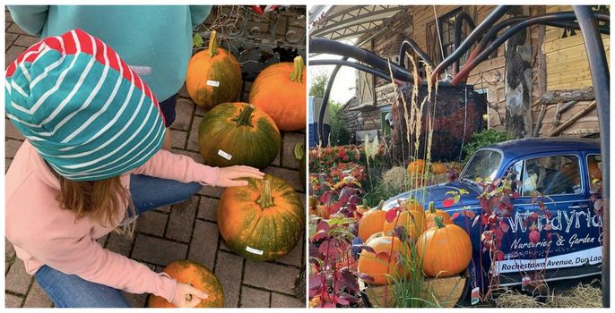 Windyridge Garden Centre