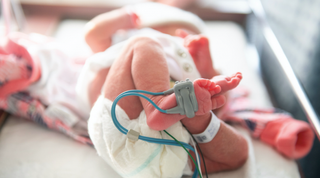 preemies and their older siblings