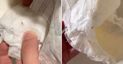 “What the F is this”: Mum claims to have found maggot in unused nappy