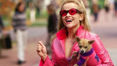 Legally Blonde 3 will catch up with Elle Woods as a working mum