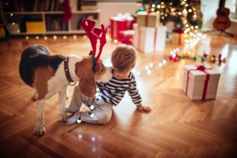 Warning issued to children who have asked Santa for a pet this Christmas