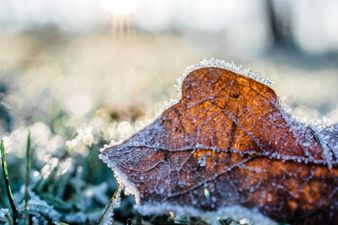 Met Éireann forecast a massive change in weather before Christmas