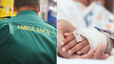 3-year-old killed in suspected dog attack in Manchester