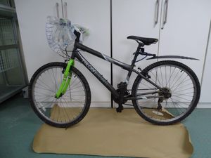 Ashling Murphy: An Garda Síochána are appealing for information on this bike