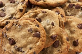 2-year-old girl tragically passes away after ‘eating poisoned cookie meant for dog’