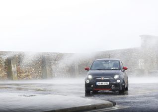 Man dies after tree falls on him while clearing debris in Wexford