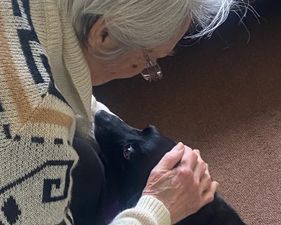 Grandmother who fled Ukraine finally reunited with her beloved dog in Ireland