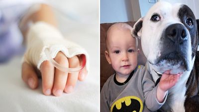 “It can happen”: Mum issues stark warning to parents after her dog attacks toddler