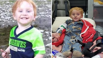 Young boy who went missing in the wilderness found alive