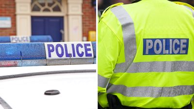 650 children strip-searched by Met Police in 2 years, report reveals