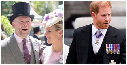 Mike Tindall had some very harsh words to say about Prince Harry