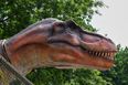 A ‘real’ Jurassic Park is opening in Kilkenny!