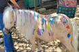 Teen Mom’s Farrah Abraham accused of animal cruelty after kids paint horse
