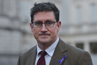 Eamon Ryan’s mother dies suddenly in tragic accident