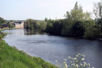 Man (30s) dies after getting into difficulty in River Barrow in Co. Carlow