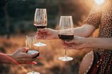 Wine and beer duty could be scrapped to help ease cost of living crisis