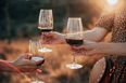Wine and beer duty could be scrapped to help ease cost of living crisis