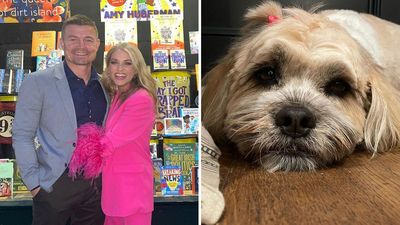 Brian O’Driscoll brings the wrong dog home from the groomers