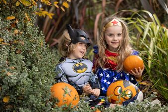Planning a pumpkin patch trip? One is opening in Liffey Valley