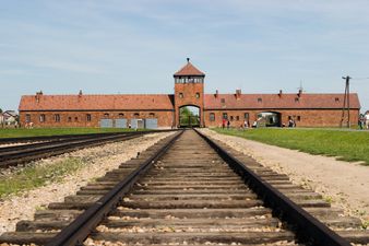 Woman called out after posing for photos on Auschwitz train tracks