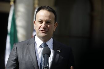Taoiseach says the amount of hospitals offering abortion services  is “not good enough”