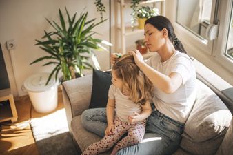 Head lice – everything parents need to know