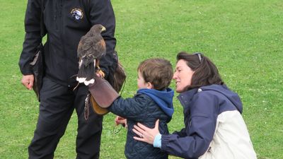 7 activities the kids will love in the Burren this summer