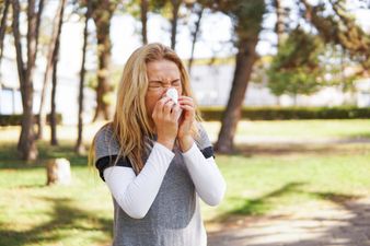 Hay fever: How to beat symptoms so you can enjoy the outdoors this Summer