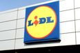 Lidl Ireland stocking summer outdoors range from €3.99 including pools and games for kids