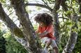 The importance of 'risky play' and why expert says 'parents should back off a bit'