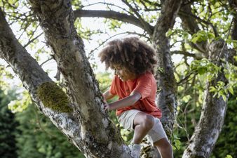 The importance of 'risky play' and why expert says 'parents should back off a bit'
