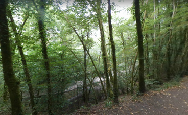 Warning for parents after nine children fall ill swimming in river