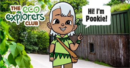 Meet Pookie, Dublin Zoo’s sustainability ambassador on a very special mission