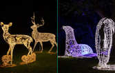 Wonderlights will return to Malahide Castle for ‘The Magic of Winter’
