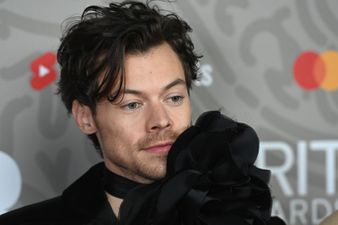 Harry Styles buys mansion to turn into nursery for toddlers