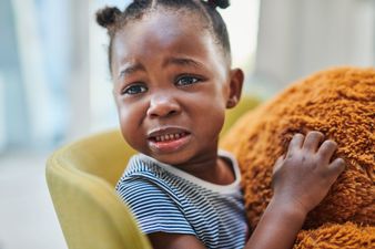 Mum hosts Build-A-Bear party for daughter and forces friends to hand bears over