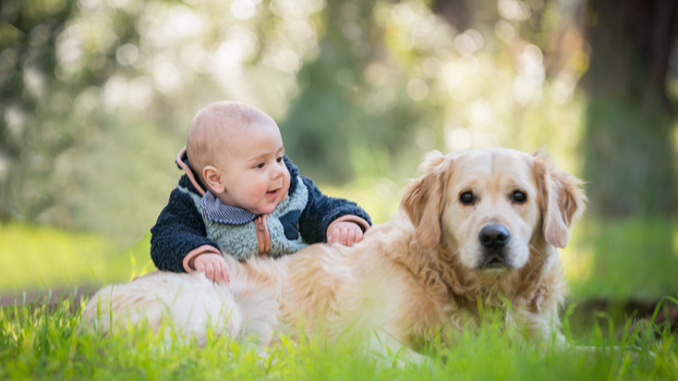 dog and baby