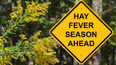 Here are five unusual hay fever symptoms to look out for in kids