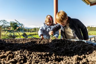 Nature Fest is coming to Airfield Estate this week – here’s what you and your family can expect