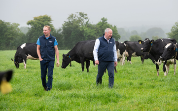 How this beloved Irish yogurt producer turns their products around in a single day