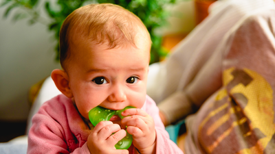 Mum issues warning after discovering mould in Sophie the giraffe teether